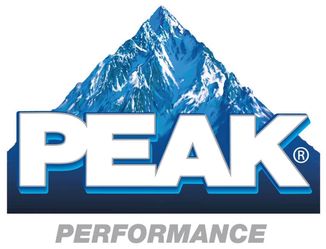 Vibrant mountain logo for Peak Performance with blue and white color scheme.